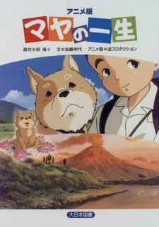 Жизнь маленькой собачки