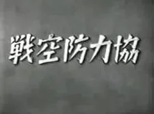 Противовоздушная оборона