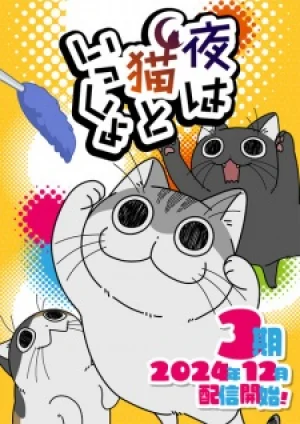 Вышла 1 серия аниме «Вечера с кошкой 3»